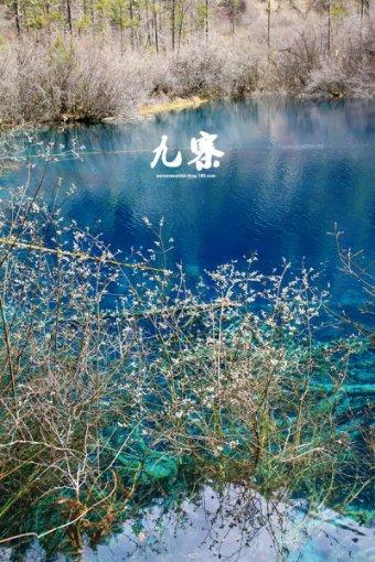 突传噩耗！43岁网红“有道妈妈”车祸离世，儿子杨一悼念惹人泪目