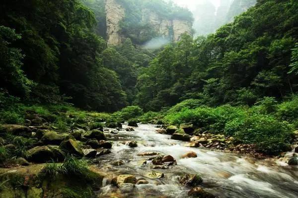 娱乐圈的悲哀:四位老戏骨被雪藏,市场无景,无戏可拍!